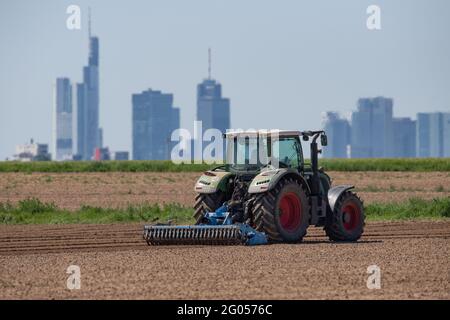 Nieder Erlenbach, Germany. 31st May, 2021. A farmer drives a tractor across his field in the district of Nieder-Erlenbach, while the skyscrapers of the city centre can be seen in the background. Experts are critical of the development of grassland in Hesse. (to dpa 'Land consumption in Hesse') Credit: Boris Roessler/dpa/Alamy Live News Stock Photo