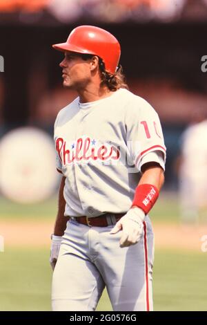 Darren Daulton  Philadelphia phillies baseball, Phillies baseball