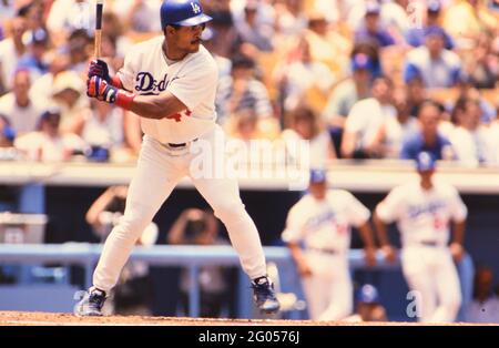 Los Angeles baseball player Brett Butler watches as teammates give high  fives at home plate -- Please credit photographer Kirk Schlea Stock Photo -  Alamy