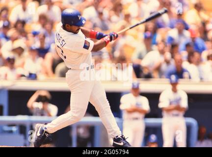 Los Angeles Dodgers manager Tommy Lasorda watching a game from the dugout  -- Please credit photographer Kirk Schlea Stock Photo - Alamy