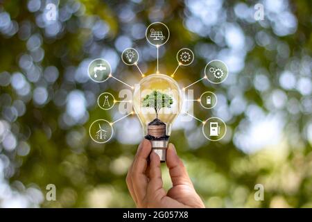 Earth Day, Environment and Eco concept, space for text Stock Photo - Alamy