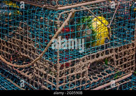 Wire crab traps hi-res stock photography and images - Alamy