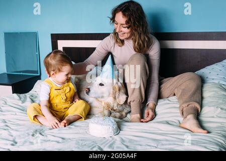 Labrador golden retriever with little child celebrate birthday with cake Stock Photo