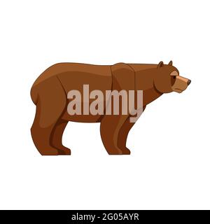A Bear looking. Cartoon character of big mammal animal. Wild forest creature with brown fur. Vector flat illustration isolated on white background Stock Vector