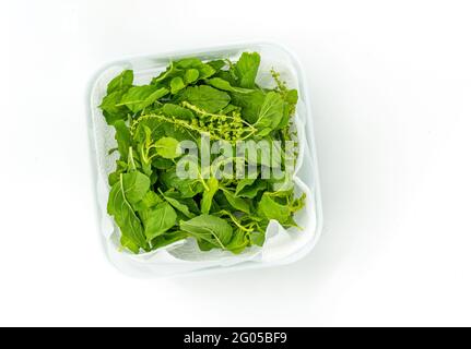 Top view fresh Holy basil leaves with kitchen towel sheet in food