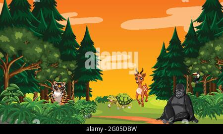 Forest at sunset time scene with different wild animals illustration ...