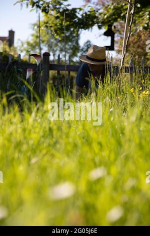 Lady gardener in a battered straw hat from a low angle Stock Photo