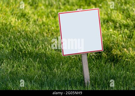 Blank white plate on lawn background. Place for your text. Copy space. Stock Photo