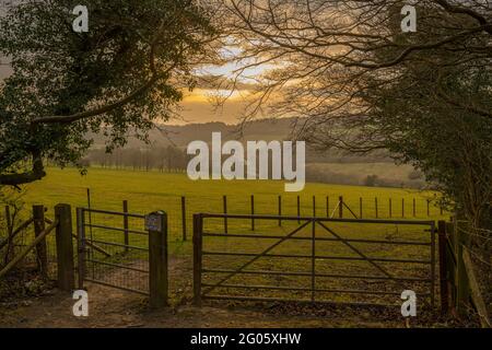 Looking across fields in the Elham Valley near Canterbury Kent. At Sunset Stock Photo