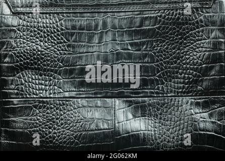 Black crocodile skin texture as background. Top view Stock Photo