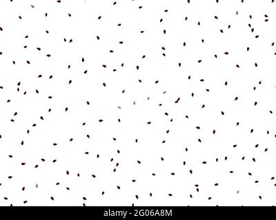 Seeds seamless pattern. Watermelon seeds on a white background. Sunflower seeds with a gradient. Background for promotional products, wrapping paper a Stock Vector