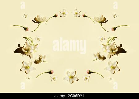 Creative layout made of apple flowers. On a beige background. Flat lay. Nature background. Stock Photo