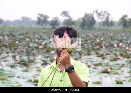 The beautiful lotus flower ponds Stock Photo