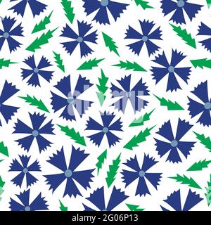 Seamless pattern with blue cornflowers and leaves. Vector illustration hand drawn. Botanical plant on white background. Wrapping, print or fabric text Stock Vector