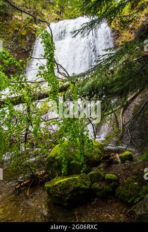 waterfall in de coin in cantal in france Stock Photo - Alamy