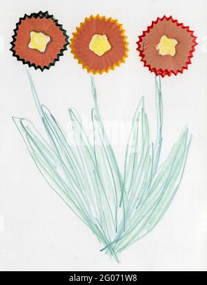 Un bouquet de trois fleurs. Crayon et chutes de bois de crayons. Stock Photo