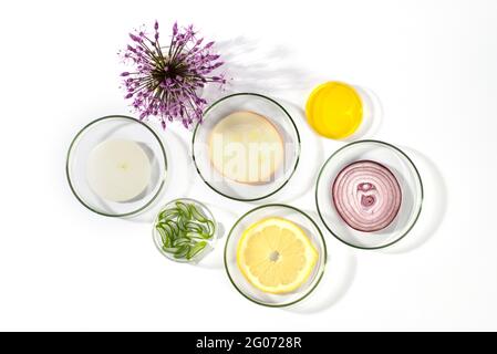 Laboratory Petri dishes with onions, oil, lemon, Aloe vera on white background. Flat lay, top view. Onions - trendy ingredient in the skin and hair. Stock Photo