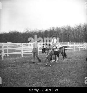 31 March 1963 Sally Fay riding horse 'Macaroni' lead by Paul 'Red' Fay and Caroline Kennedy. 'Macaroni' wears a Moroccan saddle given to the Kennedy's by King Hassan II of Morocco. Camp David, Maryland. Stock Photo