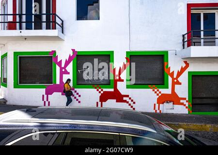 Colorful mural of deer on a wall in Puerto Vallarta, Mexico Stock Photo