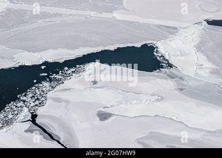 HSUS Photoshoot March 2006, Save the seals campain on the ice floes north of Prince Edward Island, northeast off Magdalen Islands, Gulf of Saint Lawre Stock Photo