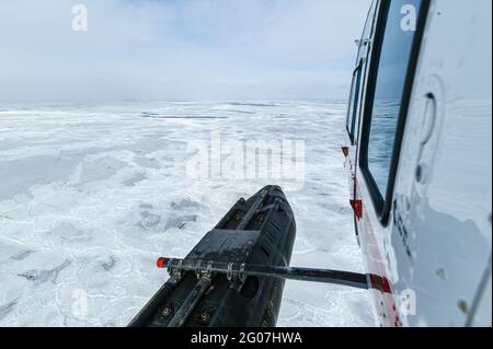 HSUS Photoshoot March 2006, Save the seals campain on the ice floes north of Prince Edward Island, northeast off Magdalen Islands, Gulf of Saint Lawre Stock Photo