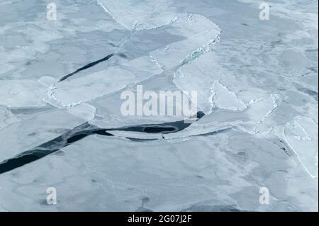 HSUS Photoshoot March 2006, Save the seals campain on the ice floes north of Prince Edward Island, northeast off Magdalen Islands, Gulf of Saint Lawre Stock Photo