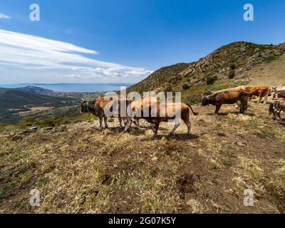 Hiking holiday along the Spanish Costa Brava coastal path, also known as the GR92 Cami de Ronda, going from Roses to Port de la Selva Stock Photo