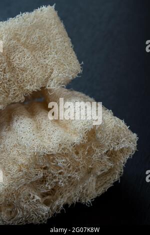 Closeup of two natural white sponge on a black wooden table Stock Photo