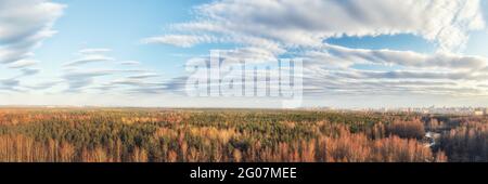 Large spring forest and distant city large panoramic view. Soft toned scenic with cloudy sky Stock Photo