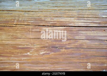 Texture of the old wood surface. Blank for designers. Stock Photo