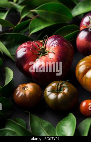 From above different fresh tomatoes on a black table Stock Photo