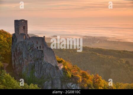 FRANCE, HAUT-RHIN (68), RIBEAUVILLE, GIRSBERG CASTLE IN AUTUMN AND IN THE BACKGROUND THE VILLAGE OF BERGHEIM Stock Photo