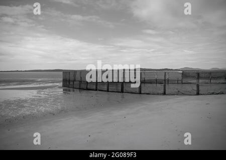 A netted safe swimming enclosure on a beach with the tide out, rendered in monotone Stock Photo
