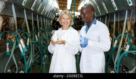 Farm milkmaids male and female with fresh milk standing near cow milking machines Stock Photo