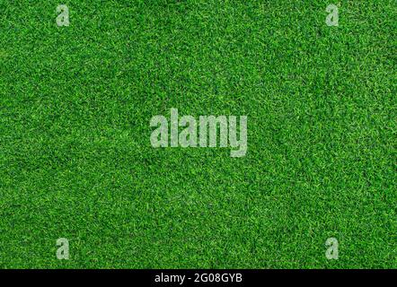 Green grass texture background. Top view Stock Photo