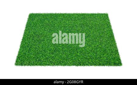 Green carpet grass isolated on white background. Stock Photo