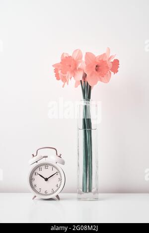 Vintage alarm clock and narcissus flowers in vase on white background. Spring time. Saving time concept Stock Photo
