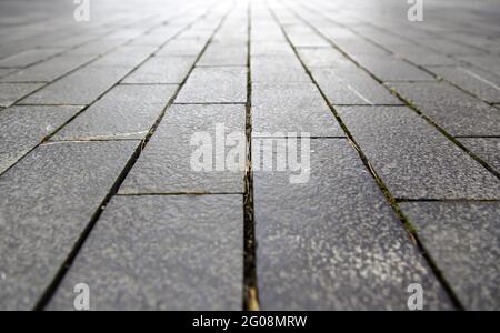 Paving stones on the ground, detail of pedestrian walk Stock Photo