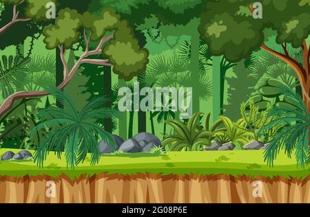 Forest scene with many trees illustration Stock Vector Image & Art - Alamy