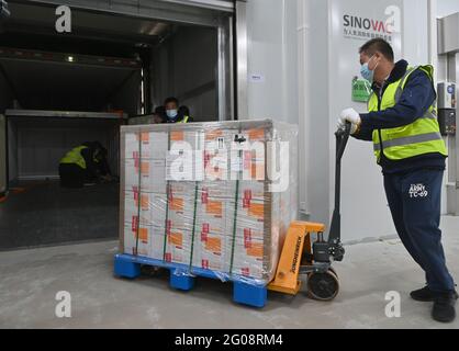 Beijing, China. 01st June, 2021. China's SINOVAC COVID-19 vaccine gets WHO's certification for emergency use in Beijing, China on 01th June, 2021.(Photo by TPG/cnsphotos) Credit: TopPhoto/Alamy Live News Stock Photo