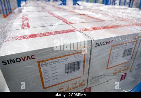 Beijing, China. 01st June, 2021. China's SINOVAC COVID-19 vaccine gets WHO's certification for emergency use in Beijing, China on 01th June, 2021.(Photo by TPG/cnsphotos) Credit: TopPhoto/Alamy Live News Stock Photo