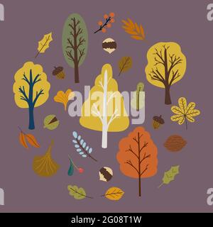 Autumn trees set with leaves and nuts vector Stock Vector