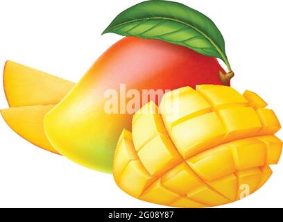 Fresh ripe mango: whole, half and slices isolated on white background. Photo-realistic vector illustration. Stock Vector