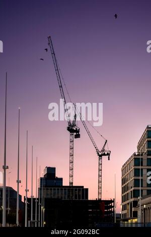 Modern tower cranes constructing new buildings at sunset in city construction site with beautiful orange blue sunrise dawn sky. Silhouette of crane Stock Photo