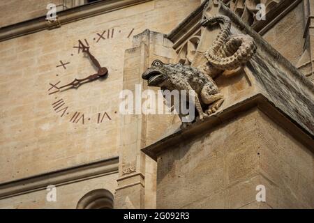 Gargoyle on french church recently renovated with clock tower in background . Stock Photo