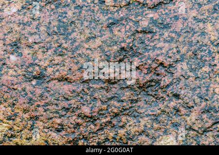 Spots and stripes are gray-red background. Textured red background. The texture of the sea stone is red-brown. Stock Photo
