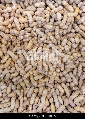 Full frame of in shell peanuts. Top view of unpeeled peanuts. Vertical layout. Flat lay. Stock Photo