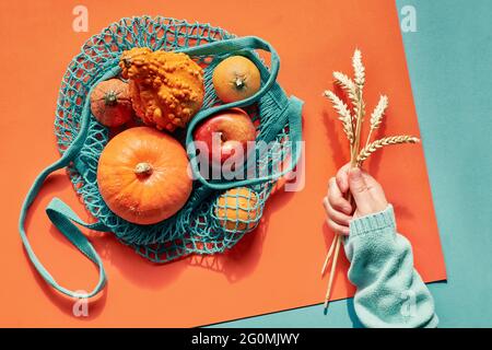 Autumn flat lay with female hands in blue sweater and turquoise string bag with orange pumpkins. Top view on layered paper background Stock Photo