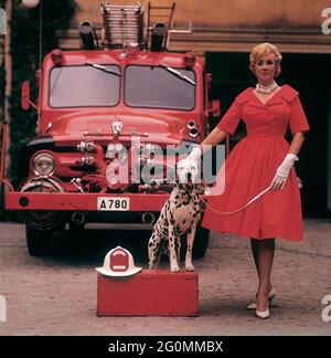 Fashionable in the 1950s. A young woman in a red dress, white gloves and white shoes is standing in front of a Ford firetruck together with a dalmatian dog with an american fire chief helmet. The dalmatier is traditionally a mascot of the fire brigade. Sweden 1958 ref CV68-10 Stock Photo