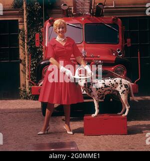 Fashionable in the 1950s. A young woman in a red dress, white gloves and white shoes is standing in front of a Ford firetruck together with a dalmatian dog with an american fire chief helmet. The dalmatier is traditionally a mascot of the fire brigade. Sweden 1958 ref CV68-1 Stock Photo